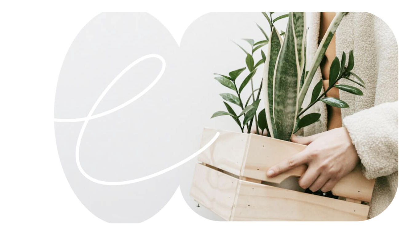 Emprendedora con una caja de plantas de su negocio